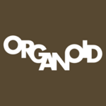 Organoid